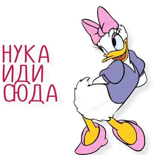 daisy duck, daisy duck 34, daisy bonochka, bebek daisy duck