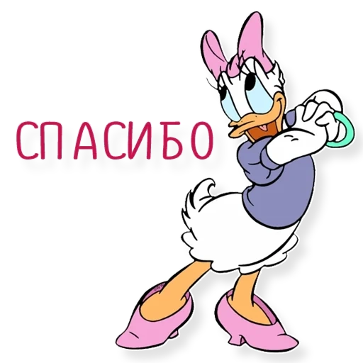 margherita, daisy duck