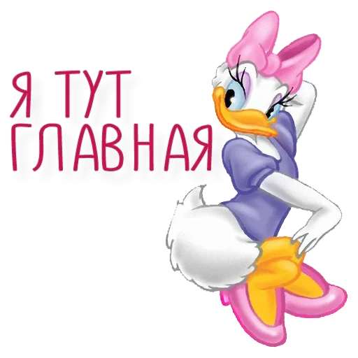 gänseblümchen, daisy duck, daisy ponochka