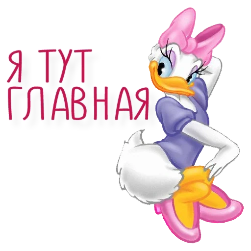 daisy, daisy duck, daisy bonochka