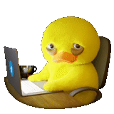 duck, yellow duck, duck at the computer