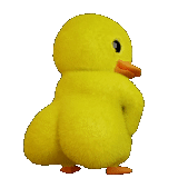 duck duck, yellow duck, duck toy, yellow duckling, soft toy of a duck