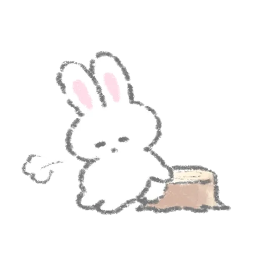 bunny, lapin, fluffy bunny, le lapin est mignon, motif de lapin