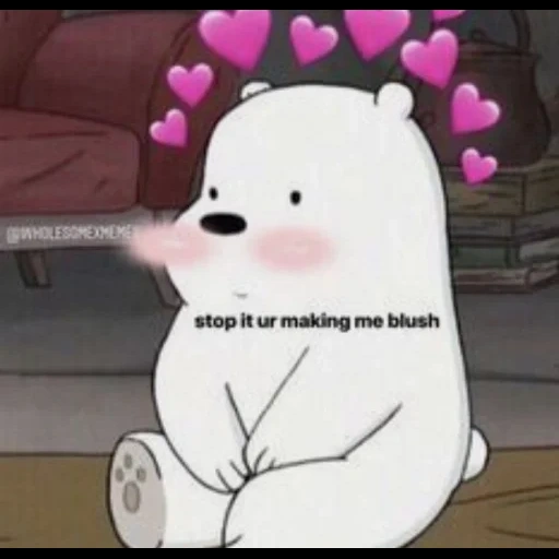 captura de tela, love meme, urso fofo, urso branco, toda a verdade sobre o urso branco