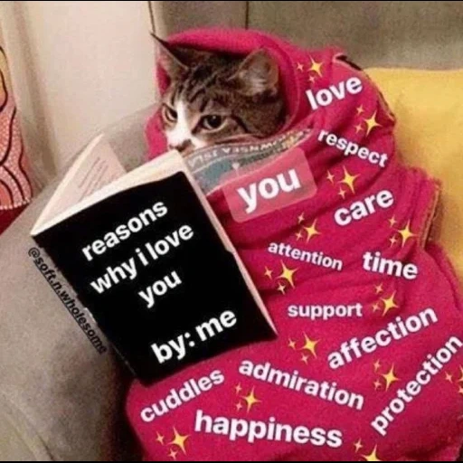 cats, félins, mème de bénédiction, wholesome love, cute memes love