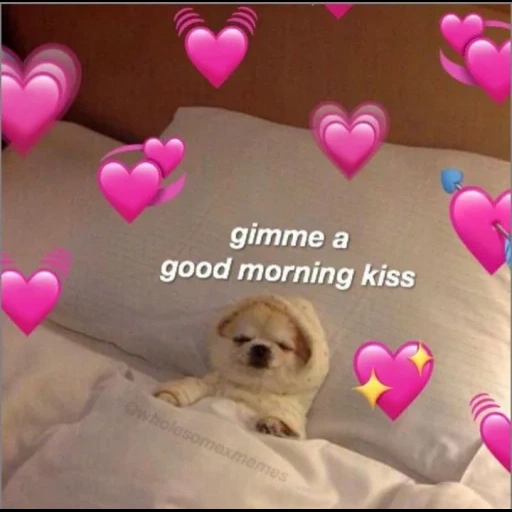 les animaux sont mignons, good morning kiss, bonjour mème bien-aimé, gimme a good morning kiss, chien mignon avec un cœur sur la tête