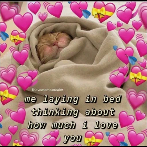 the cat is a blanket, cute text, an alarm clock cat meme, wholesome love meme, wholesome memes love