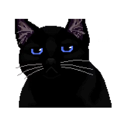 кошка черная, кот черный, грустный черный кот, черные коты, кот пиксель