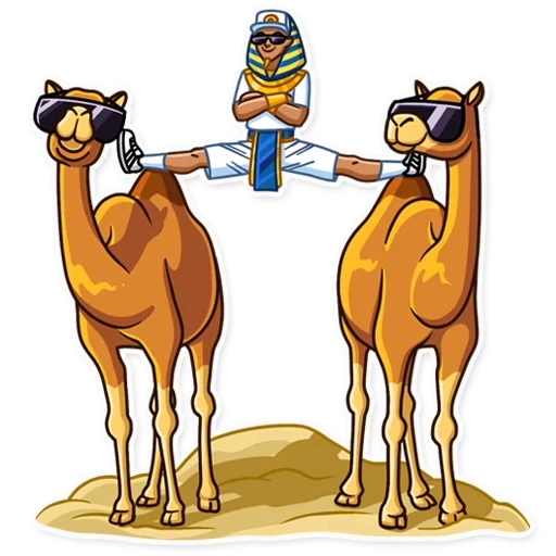 kamele, ägyptisch, kamelbr br br br, kamelzeichnung, cartoon araber kamel
