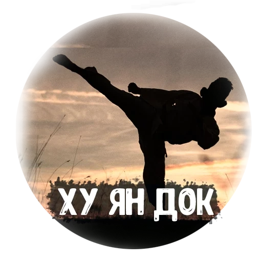 valakas, immagine dello schermo, thekvondo, sunset di karate, combattimento corpo a corpo