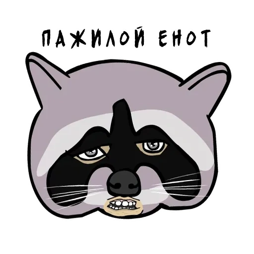 raccoon, the raccoon is angry, raccoon face, raccoon muzzle, raccoon head