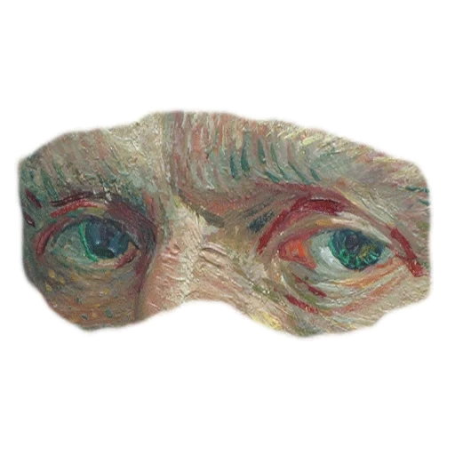 peacock's eye, ocular fragments, shuba van gogh sleep mask, shuba jeanne samary sleep mask, jurassic world dinosaur mask