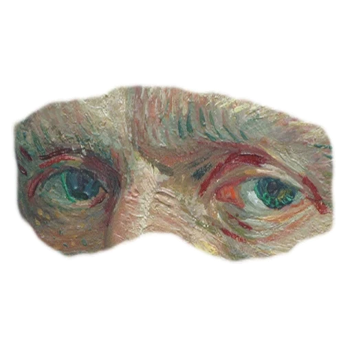 pavliy eye, augenfragmente, schlafmaske shuba van gogh, shuba jeanne samary schlafmaske, dinosauriermaske jurassic world