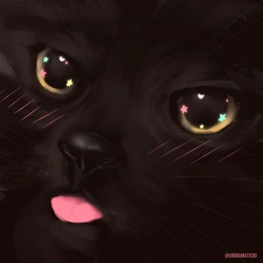 кот, темнота, черный кот, черный котик, чёрная кошка