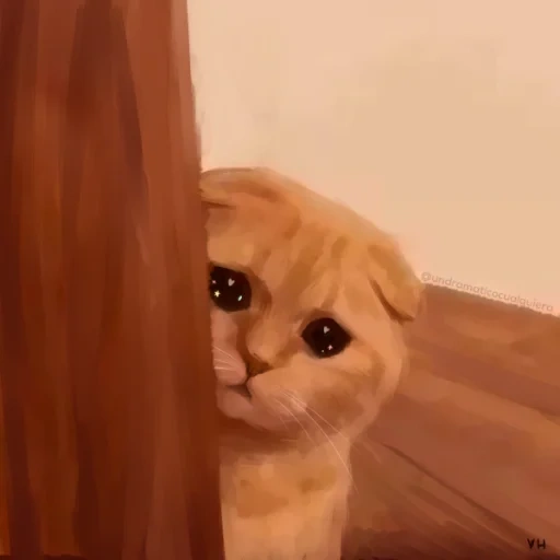 gato, gato, os gatos são engraçados, gato triste, gatos fofos são engraçados