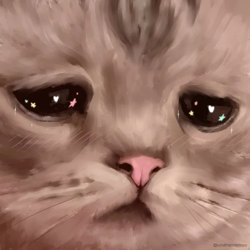 die traurige katze, die weinende katze, die weinende katze, die traurige katze