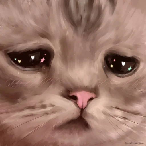 cat triste, gato llorando, gato llorando, cat triste