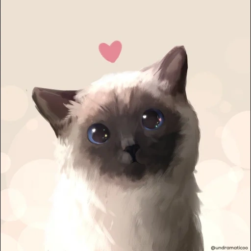 gatto, gatto siamese, gatto siamese, arte del gatto siamese, matita per gatto siamese