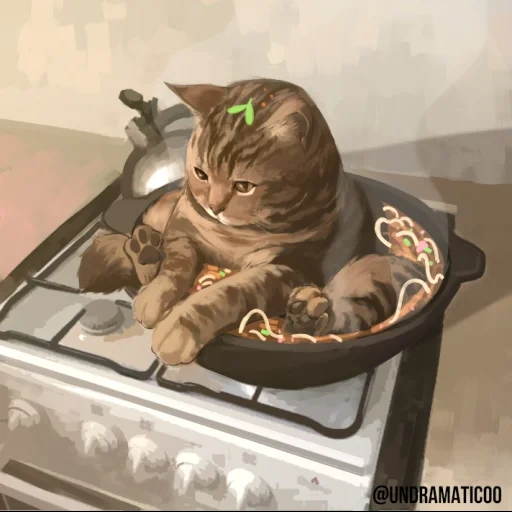 кот, кот кот, кот сковороде, котики смешные, смешные животные