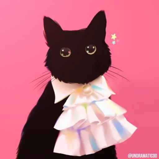 кот, котэ, кошечка, котик галстуке, черная кошечка