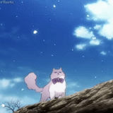 perfis, zhlobin, o gato é ukzaki, criança difícil, cat de anime para a natureza