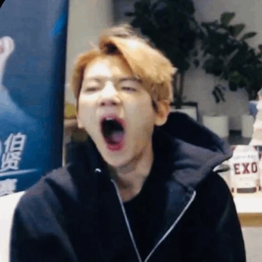 pak chanyeol, exo baekhyun, il viso è divertente, bekhen exo meme, exomma bechen