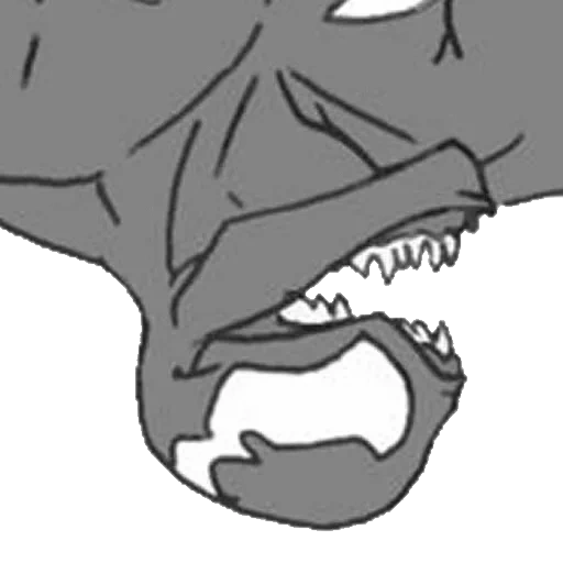 gato, perro, el cráneo del lobo, dibujo de dinosaurios, la mandíbula del megalosaurio