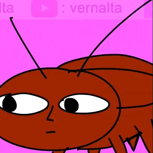 parker, animation, cockroach, english and western spider, cockroach cartoon