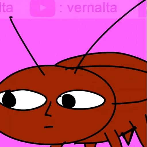 paquete, anime, cucaracha, inxi vinci spider, cucroach de dibujos animados