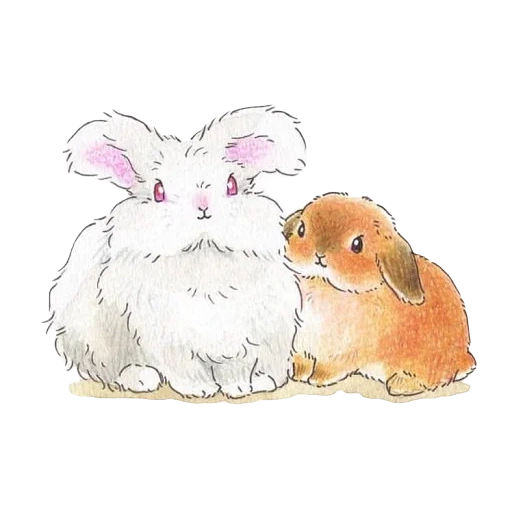 two rabbits, dear rabbit, lovely rabbits, rabbit drawing, cute rabbits