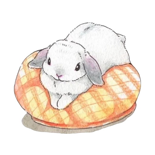 cheese, dear rabbit, cute drawings, rabbit drawing, bunny drawing