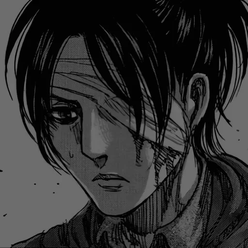 attaque des titans, l'attaque des titanes levy, l'attaque des manga titans, attaque des titans hanji, attaque des titans de manga levy ackerman