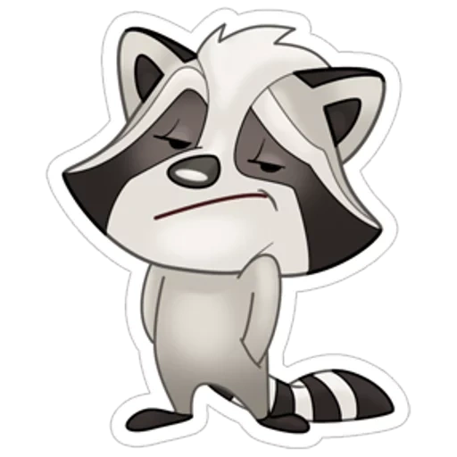 personagem, raccoon viber, racot rocco, racot vaiber, ilustração de guaxinim