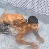 komik, bse sensex, vídeo divertido, onde está o dinheiro de lebowski, o menino está tomando banho na banheira