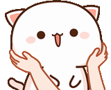 kucing kawaii, kucing lucu, kucing kawaii, kucing kawaii, kucing persik mochi mochi