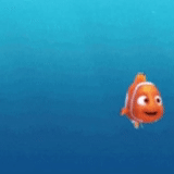 nemo, fish, dory fish, finding nemo, finding dory 2016 screencaps
