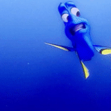 gif, dory, junge, findet nemo, dory fish animation