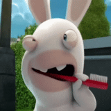 coniglio rabbioso, cartoon rabies rabbit, invasione di conigli rabbiosi, crazy rabbit animation series, mad rabbit invasion animation series