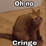 cat, cat meme, the all time cat, oh no cringe, cat oh no cringe