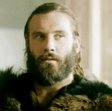 viking luo luo, lodbrock ragnall, viking series, viking beard, viking ragner
