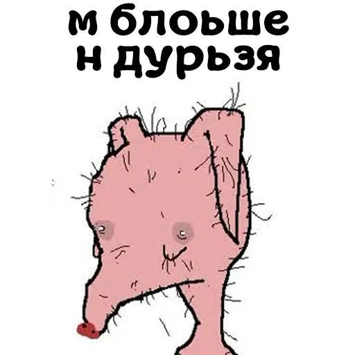funny, people, piglet, a weak little pig, piglets who have smoked cigarettes