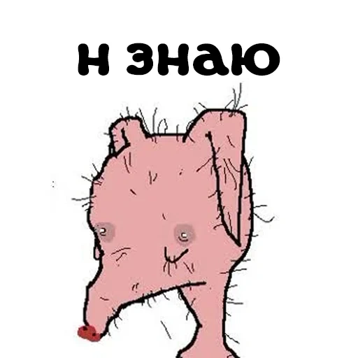 meme, funny, people, potocek month, a weak little pig