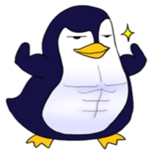 penguin, penguin, lolo pepe, pingüino pato, penguin ja ja ja ja