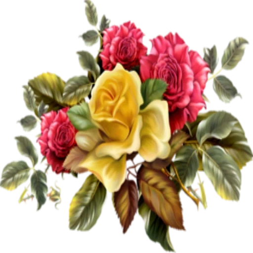 bouquet of flowers, retro flowers, beautiful flowers, flower illustration, beautiful flowers with transparent background