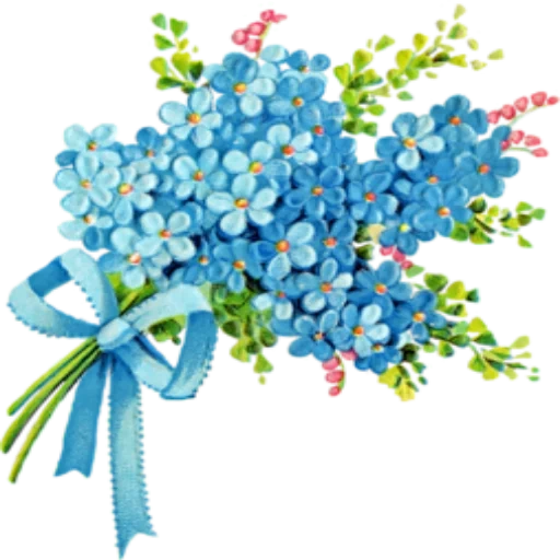 forget me not, bouquet of forget-me-not, forget-me-not flower, forget me not on a white background, forget me not with transparent background