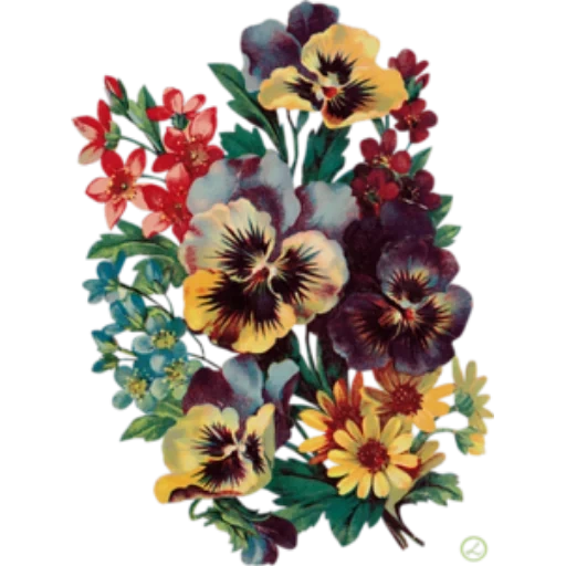 pansy tricolor, pansy bouquet, pansy tricolor, embroidered bow, cornered pansies