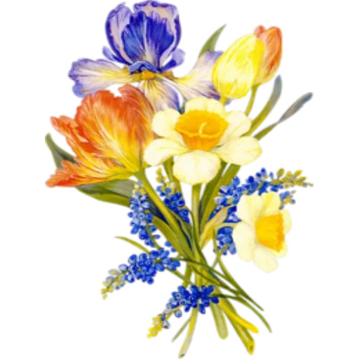 a bunch of flowers, flower clip, watercolor flower, against a transparent background flowers, mimosa tulip watercolor painting