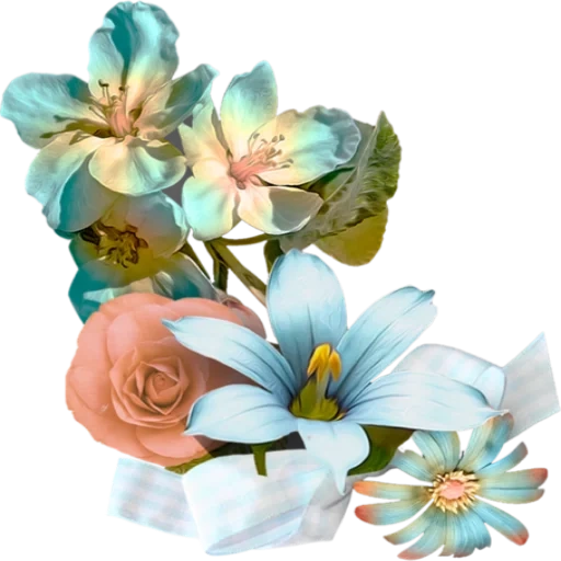 flowers, flower clip, flower watercolor, flower illustration, scissors flowers are vivid