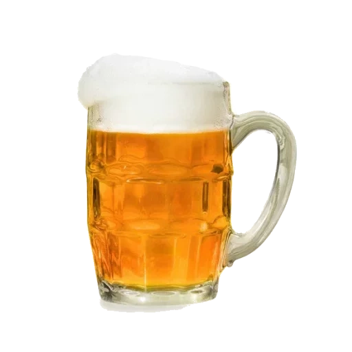 bier, live bier, tasse bier, bierglas, bier ist ein weißer hintergrund