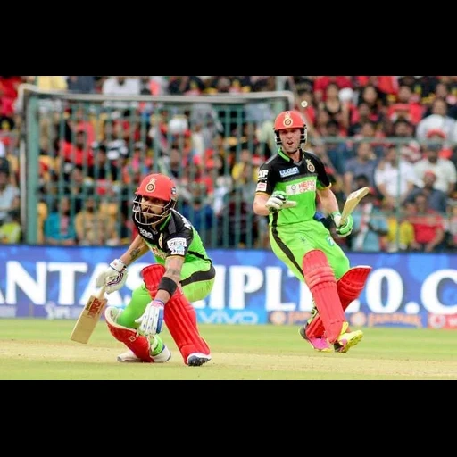 grillo, mejor cricket, copa mundial, copa mundial de cryakita, estudio de transmisión crítica